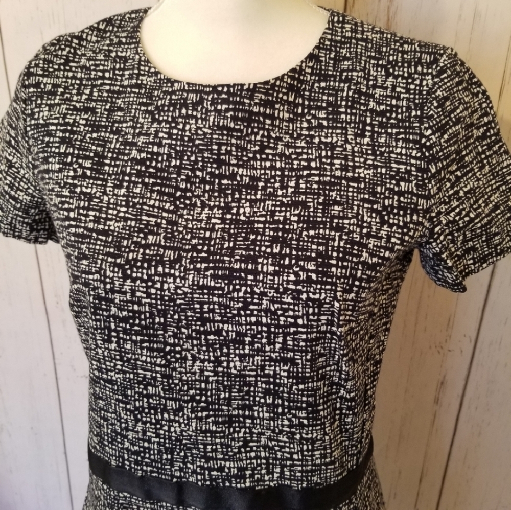 GAP Elegant Navy and White Print Women's Dress - Picture 3 of 5